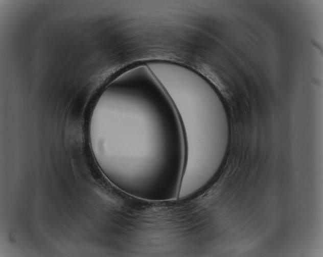 X0000093390252200710111353