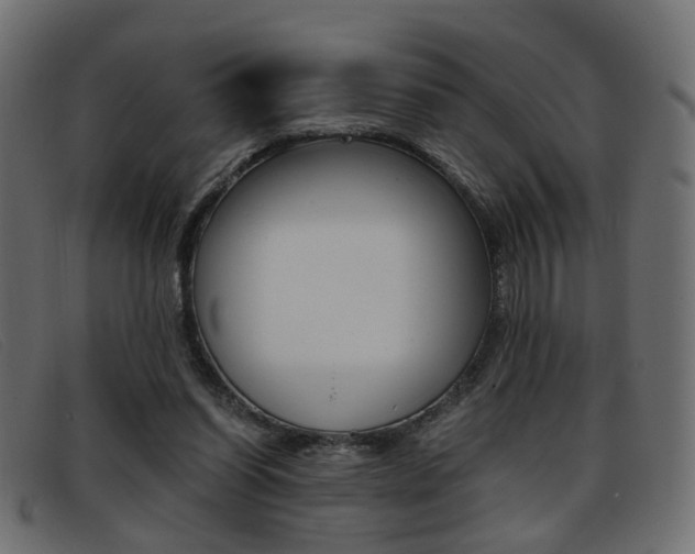 X0000093390254200710111353