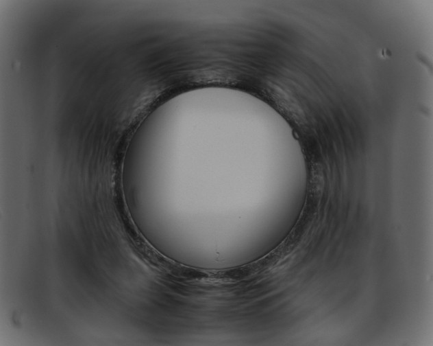 X0000093390255200710111353