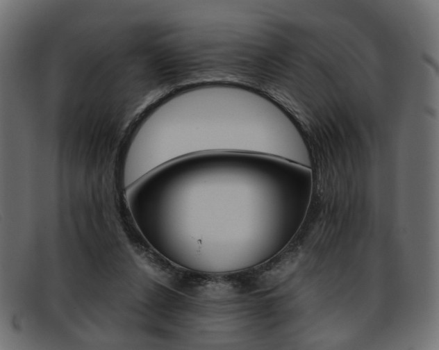 X0000093390256200710111353