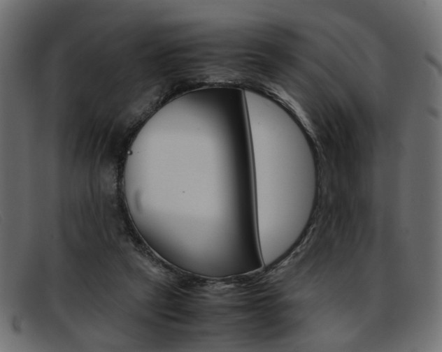 X0000093390257200710111353