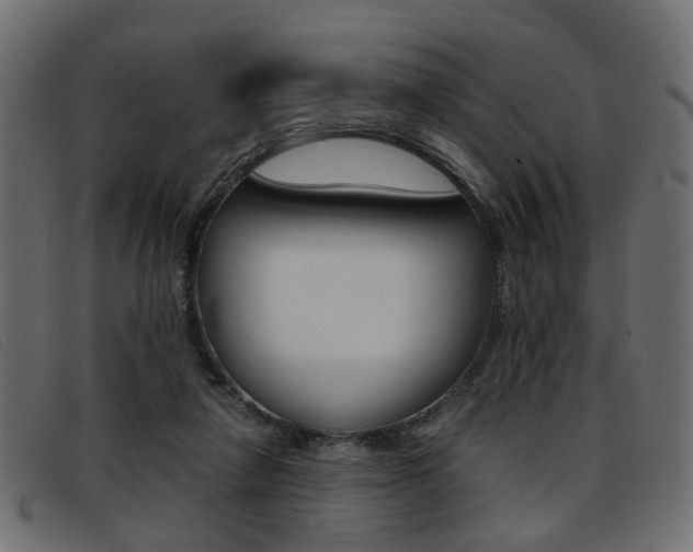 X0000093390258200710111353