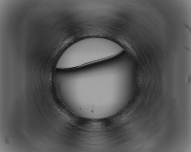 X0000093390260200710111353