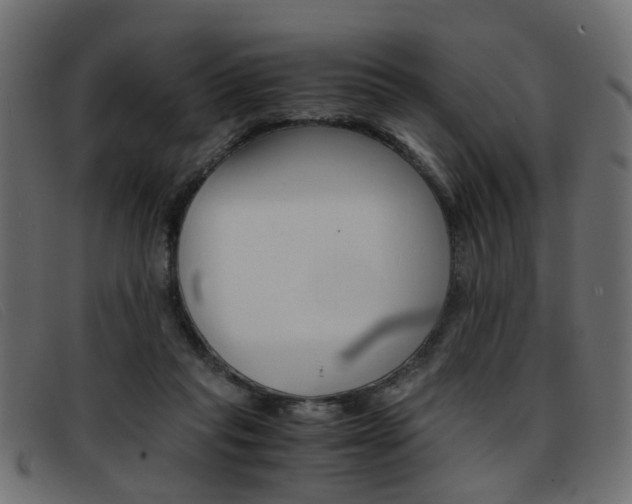 X0000093390261200710111353
