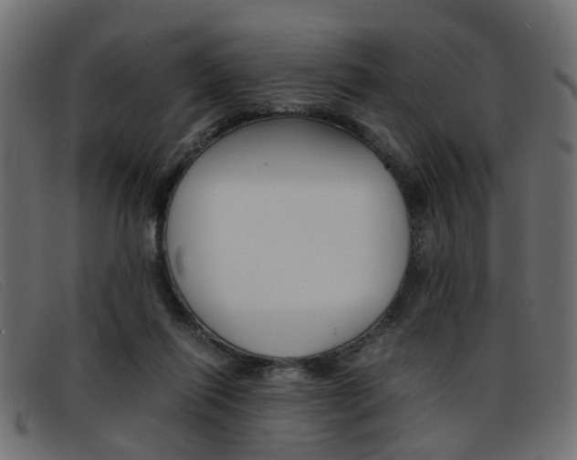 X0000093390262200710111353