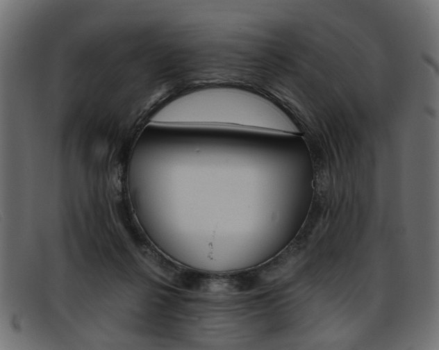 X0000093390264200710111353