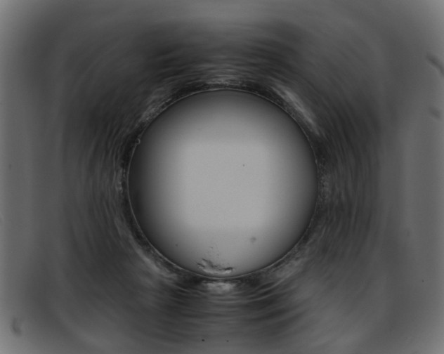 X0000093390265200710111353