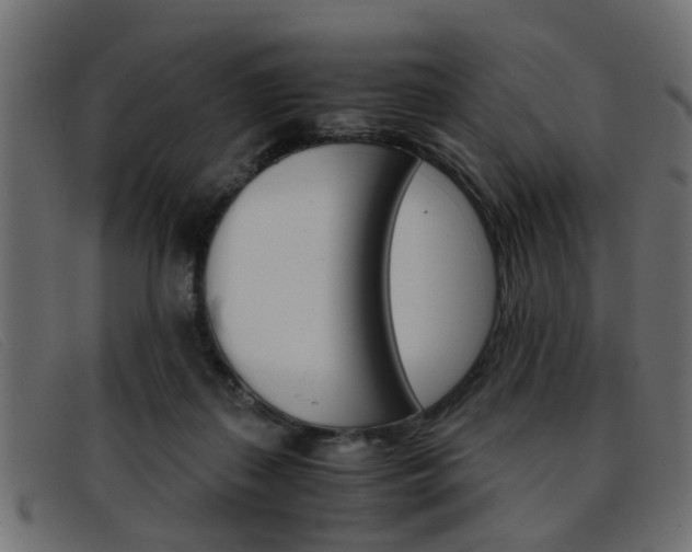 X0000093390267200710111353