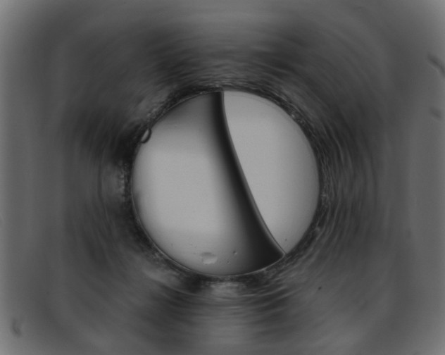 X0000093390268200710111353