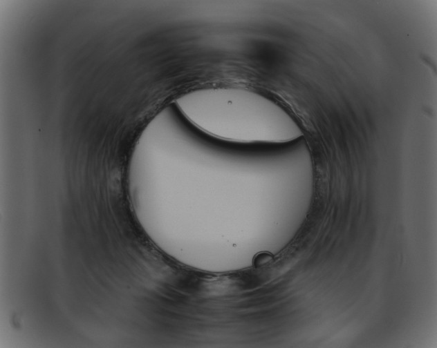 X0000093390269200710111353