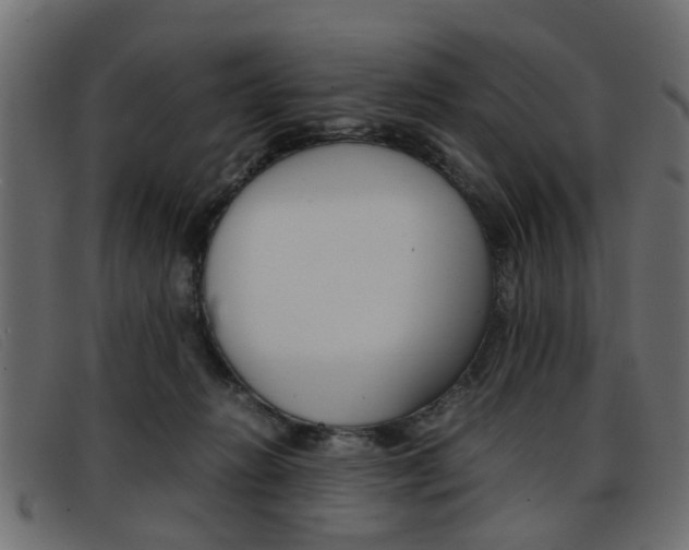 X0000093390270200710111353