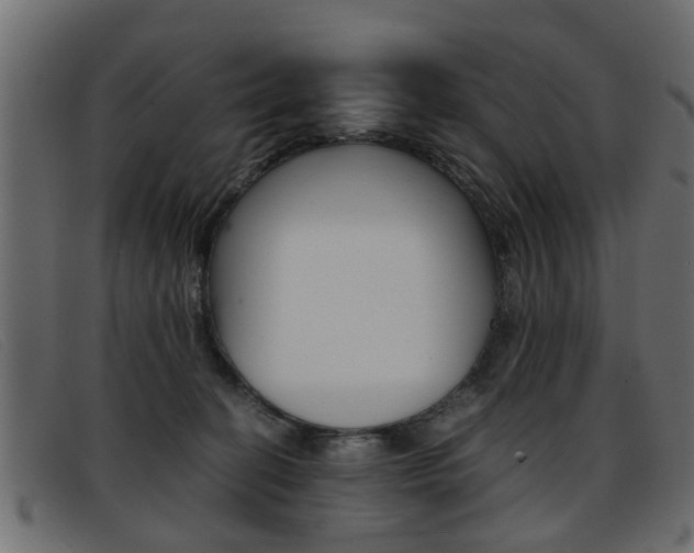 X0000093390274200710111353