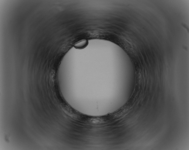 X0000093390275200710111353