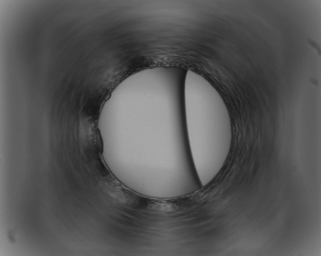 X0000093390276200710111353