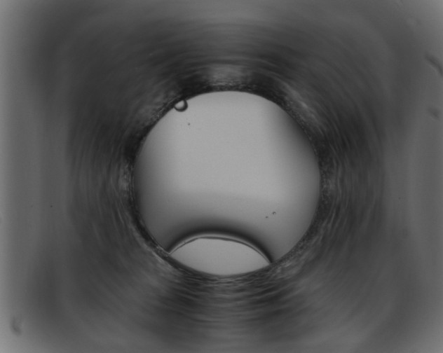 X0000093390277200710111353