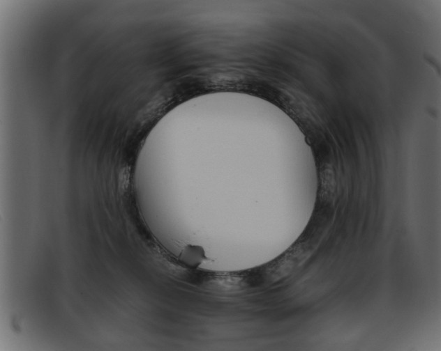X0000093390278200710111353