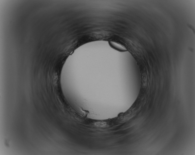X0000093390279200710111353