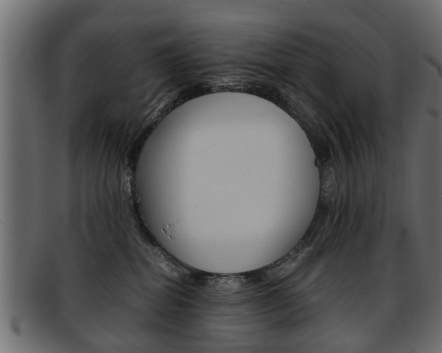 X0000093390282200710111353
