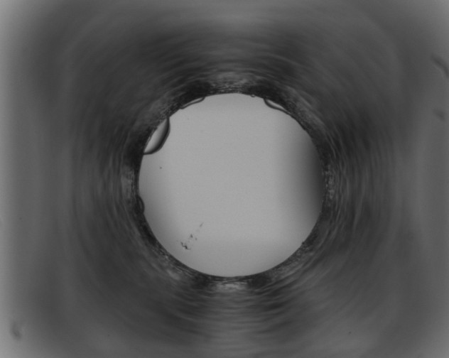 X0000093390283200710111353