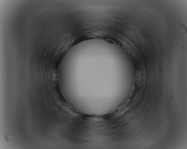 X0000093390284200710111353