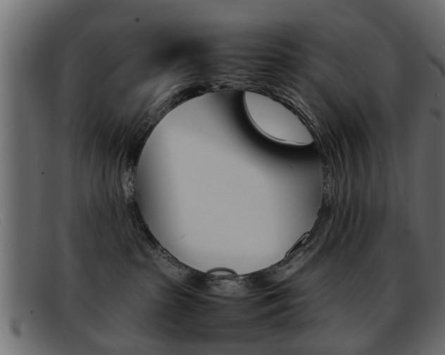 X0000093390285200710111353