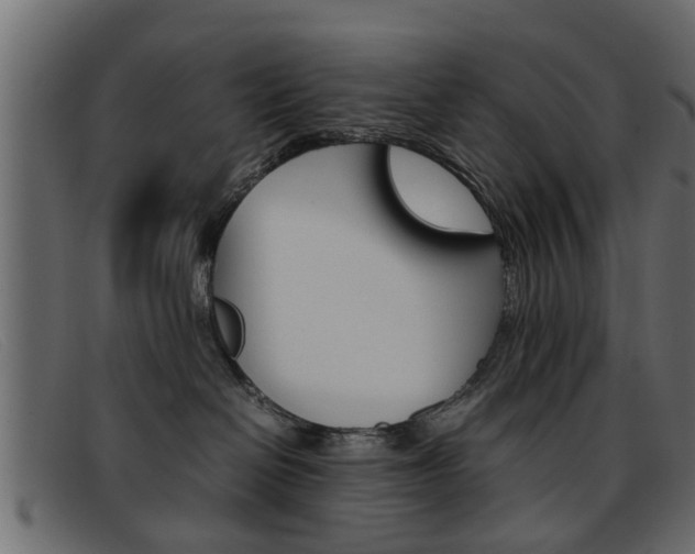 X0000093390286200710111353