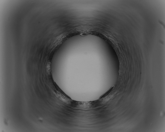 X0000093390288200710111353