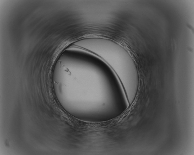 X0000093390289200710111353