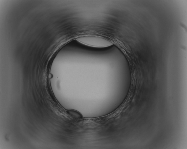 X0000093390290200710111353
