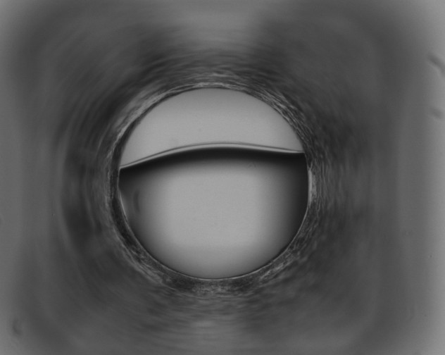 X0000093390291200710111353