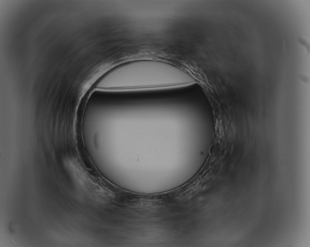 X0000093390292200710111353