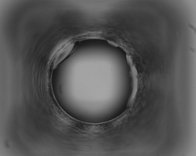 X0000093390293200710111353