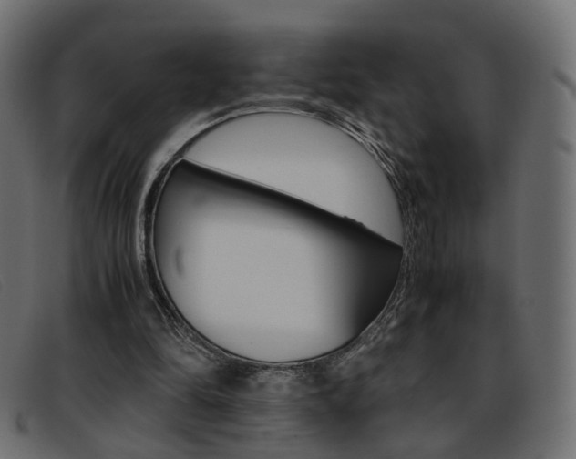 X0000093390294200710111353