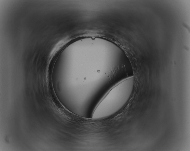 X0000093390296200710111353