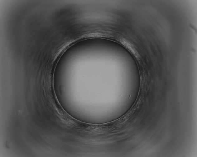X0000093390297200710111353