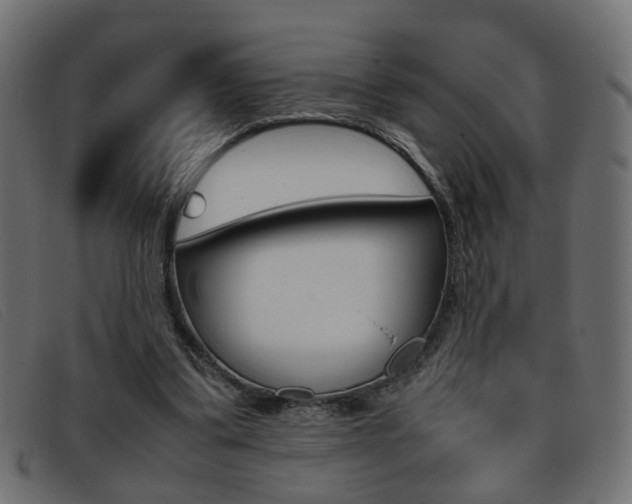 X0000093390299200710111353