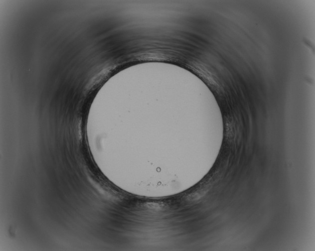 X0000093390302200710111352