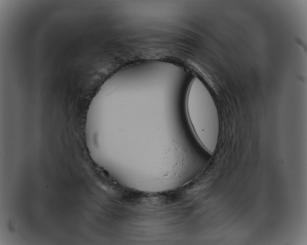 X0000093390307200710111352