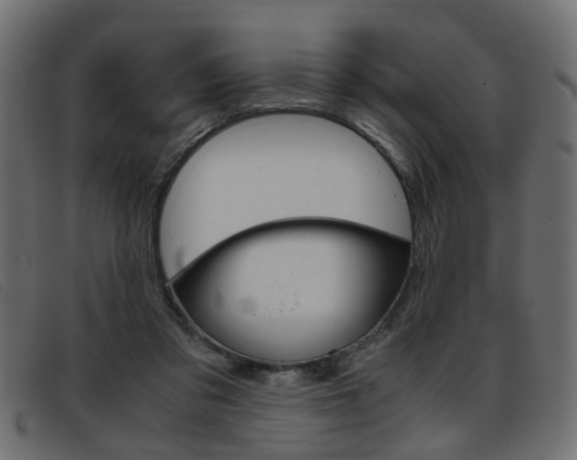 X0000093390309200710111352