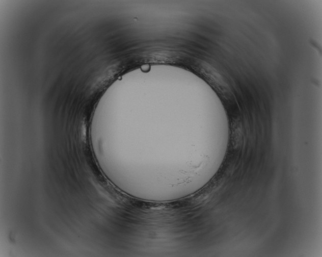 X0000093390310200710111352