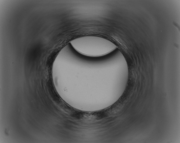 X0000093390311200710111352