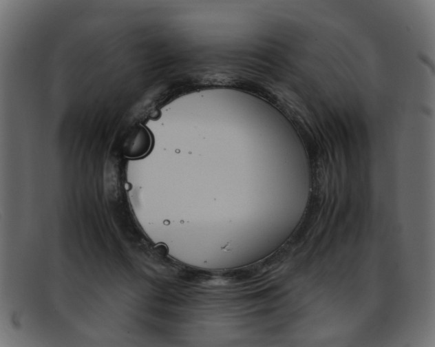 X0000093390312200710111352