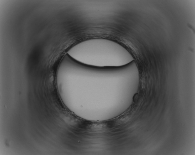 X0000093390314200710111352