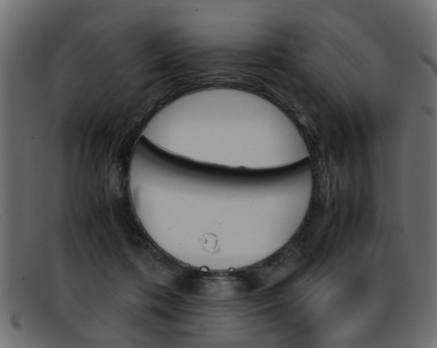 X0000093390316200710111352