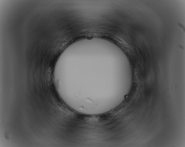 X0000093390318200710111352