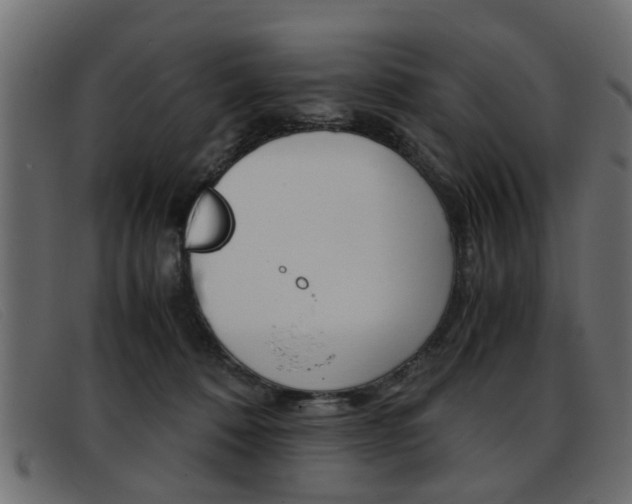 X0000093390320200710111352