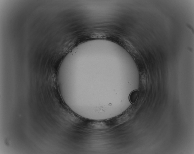 X0000093390322200710111352