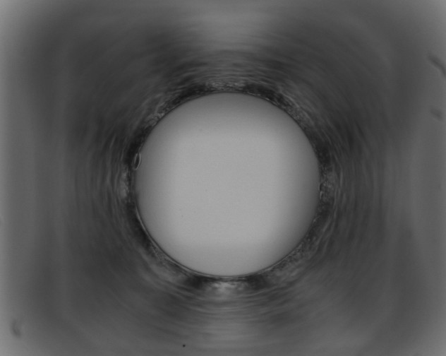 X0000093390323200710111352