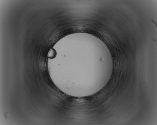 X0000093390324200710111352