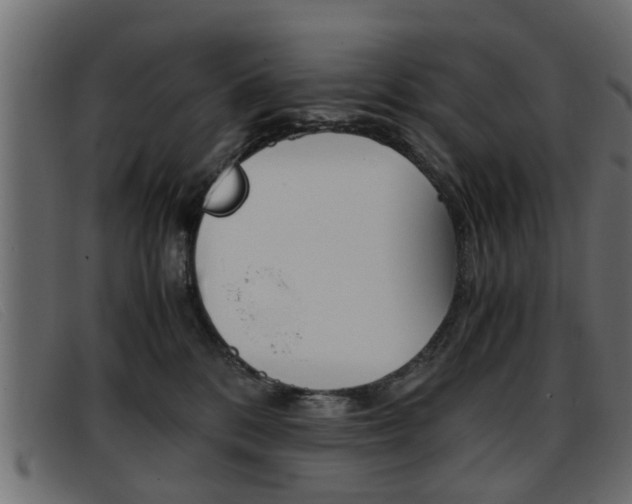 X0000093390328200710111352